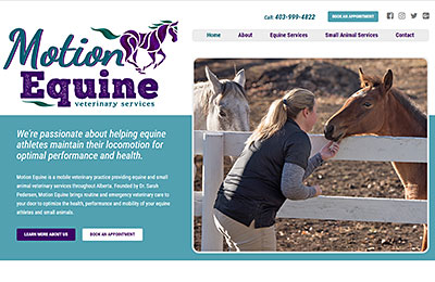 Motion-Equine-Calgary-Web-Design