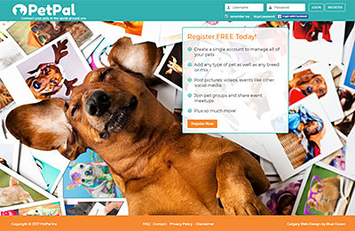 pet-pal-calgary-website-design